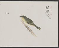 ku-speccoll:16134-21