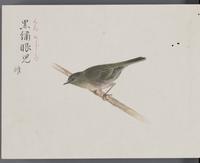 ku-speccoll:16134-22