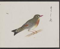 ku-speccoll:16134-23