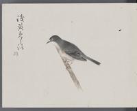 ku-speccoll:16134-24