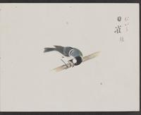 ku-speccoll:16134-25