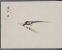 ku-speccoll:16134-26