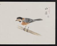 ku-speccoll:16134-27