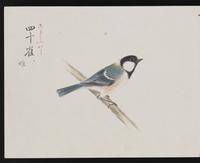 ku-speccoll:16134-28