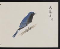 ku-speccoll:16134-29