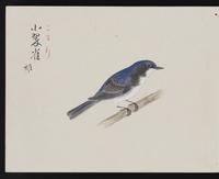 ku-speccoll:16134-30