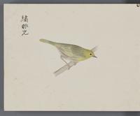 ku-speccoll:16134-56