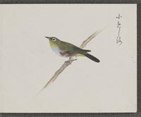 ku-speccoll:16134-57