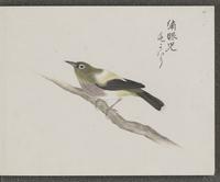 ku-speccoll:16134-59