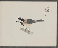 ku-speccoll:16134-61