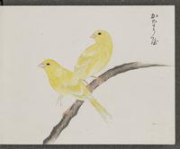 ku-speccoll:16134-63