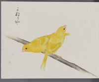 ku-speccoll:16134-64