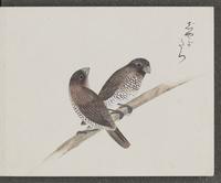 ku-speccoll:16134-67