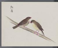 ku-speccoll:16134-68