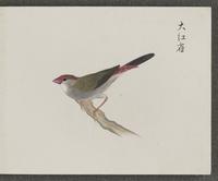 ku-speccoll:16134-69