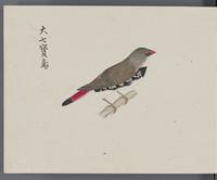 ku-speccoll:16134-72