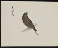 ku-speccoll:16134-76