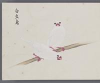 ku-speccoll:16134-78