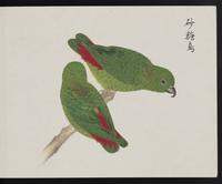 ku-speccoll:16134-83