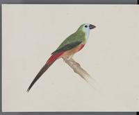 ku-speccoll:16134-86