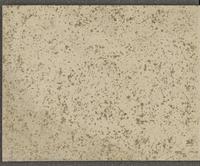 ku-speccoll:16134-88