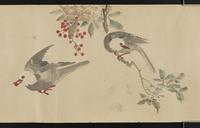 ku-speccoll:16226-11