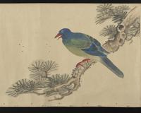 ku-speccoll:16226-15