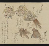 ku-speccoll:16246-11