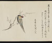 ku-speccoll:16266-10