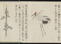 ku-speccoll:16266-12