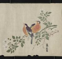 ku-speccoll:16283-11