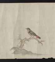 ku-speccoll:16283-12