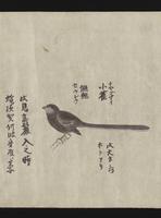 ku-speccoll:16283-13