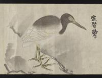 ku-speccoll:16283-16