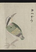 ku-speccoll:16283-18