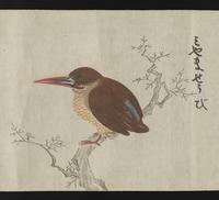 ku-speccoll:16283-19