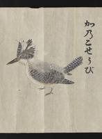 ku-speccoll:16283-21