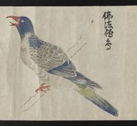 ku-speccoll:16283-24