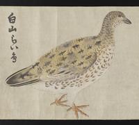 ku-speccoll:16283-28