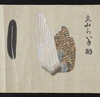 ku-speccoll:16283-32