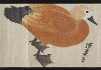 ku-speccoll:16283-38