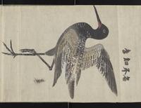 ku-speccoll:16283-40