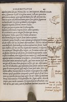 ku-speccoll:16846-53