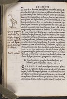 ku-speccoll:16846-54