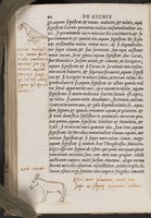 ku-speccoll:16846-102