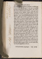 ku-speccoll:16846-138