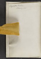 ku-speccoll:17384-4