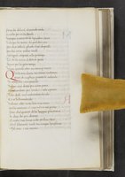 ku-speccoll:17384-121