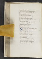 ku-speccoll:17384-124
