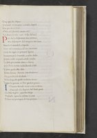 ku-speccoll:17384-135